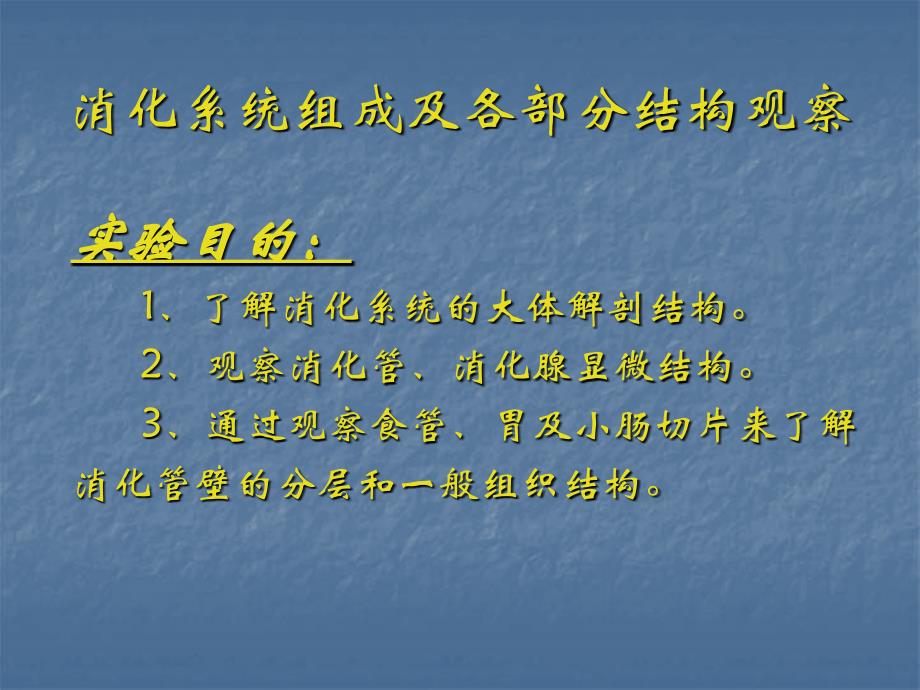 消化系统组成及各部分结构观察培训课件_第2页