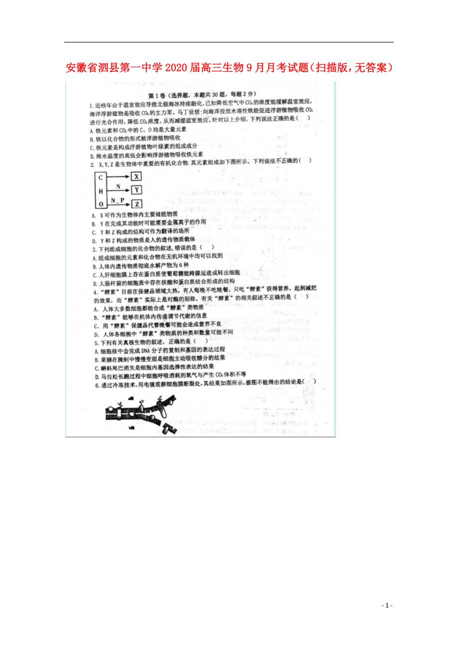 安徽泗第一中学2020高三生物月考1.doc_第1页