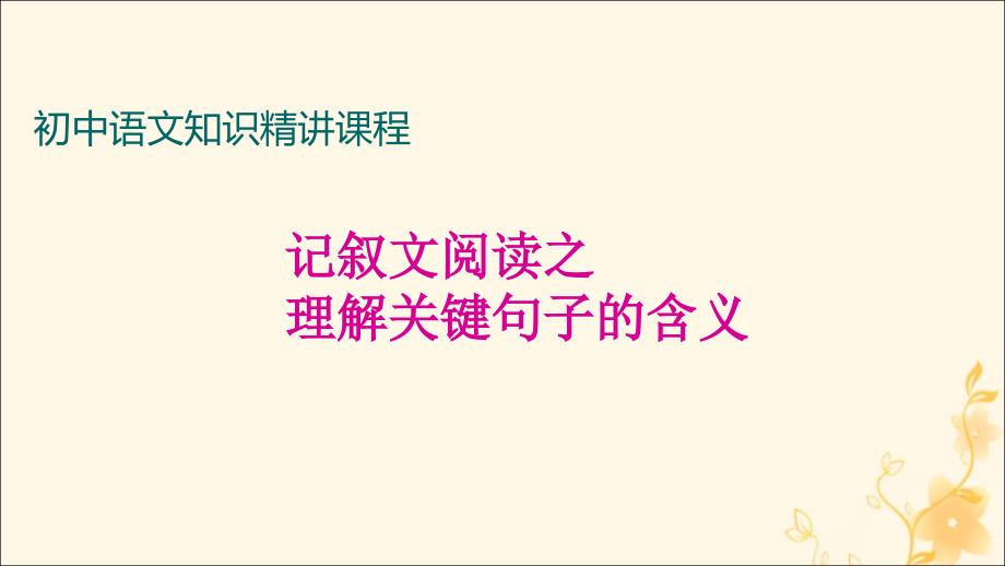 中考语文一轮复习记叙文阅读知识考点精讲理解关键句子课件_第1页