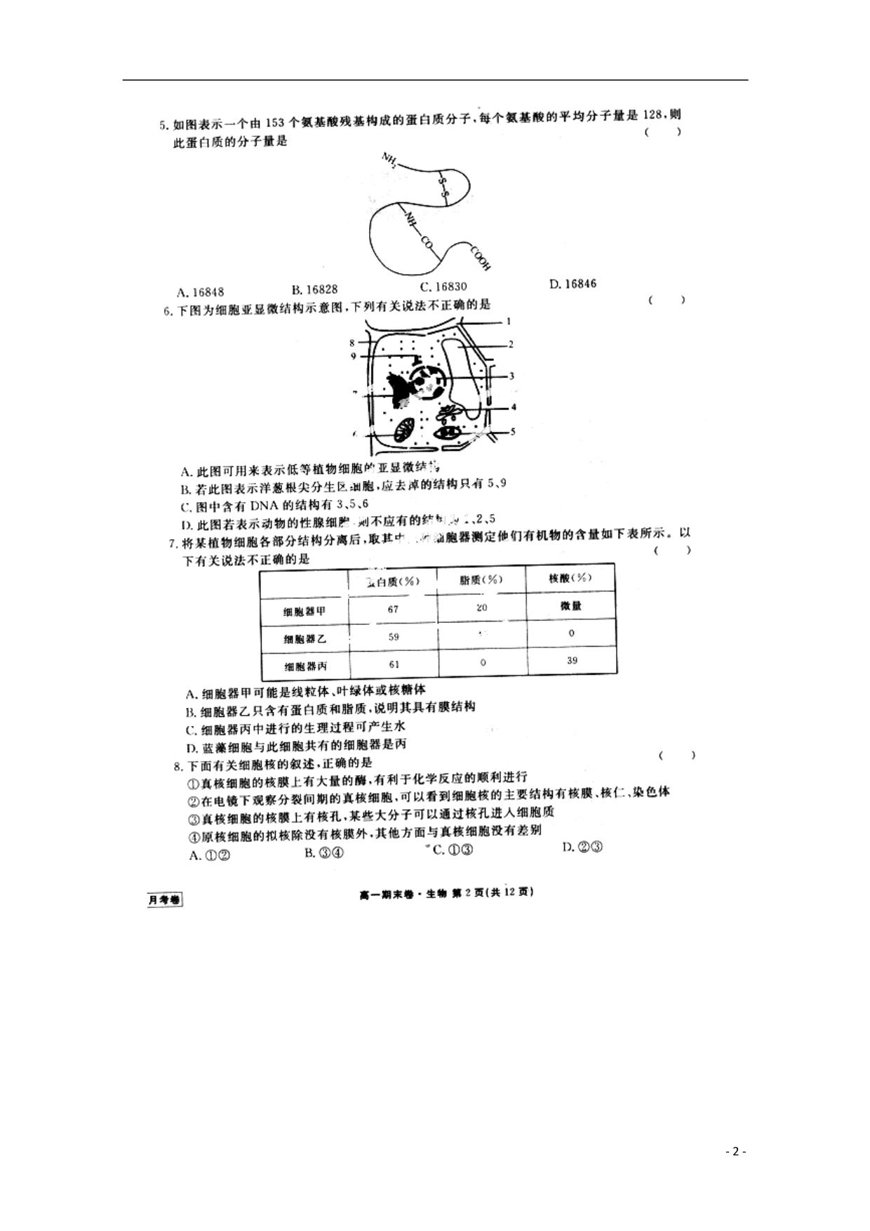 河北衡水衡水中学高一生物期末考试.doc_第2页