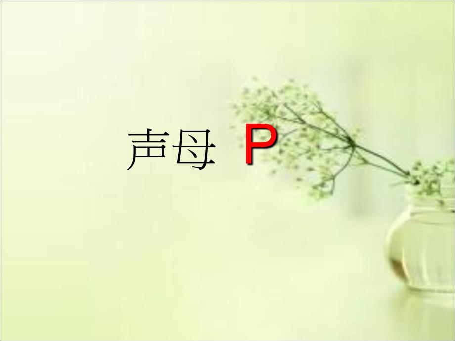 声母p教程文件_第1页