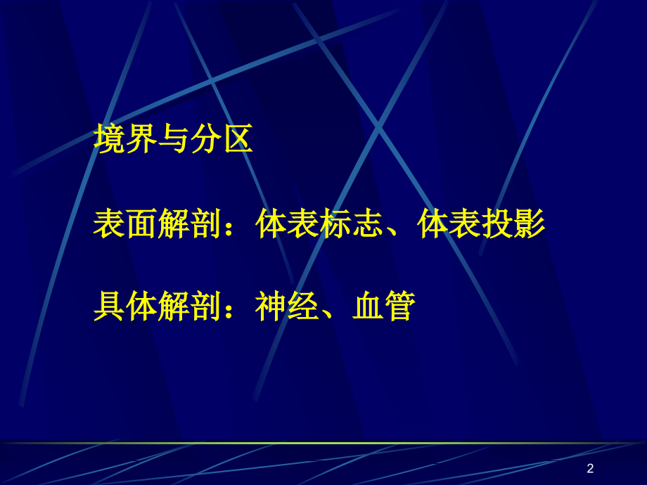 麻醉解剖学(上下肢)PPT参考课件_第2页