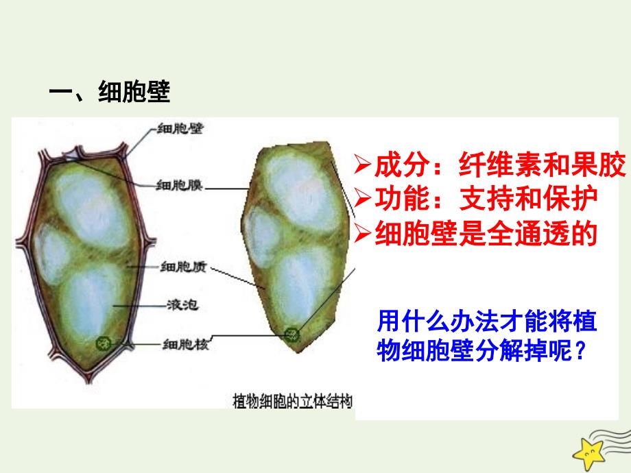 四川高中生物第三章第一节细胞膜系统的边界必修1.ppt_第3页