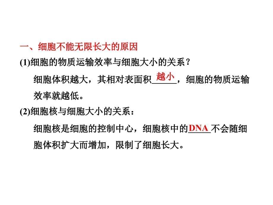 必修1第6章第一讲细胞的增殖（教材第1节）（共65）（四月）_第5页