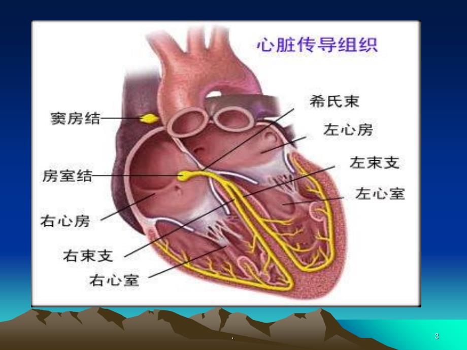 心电图与心梗演示ppt课件_第3页