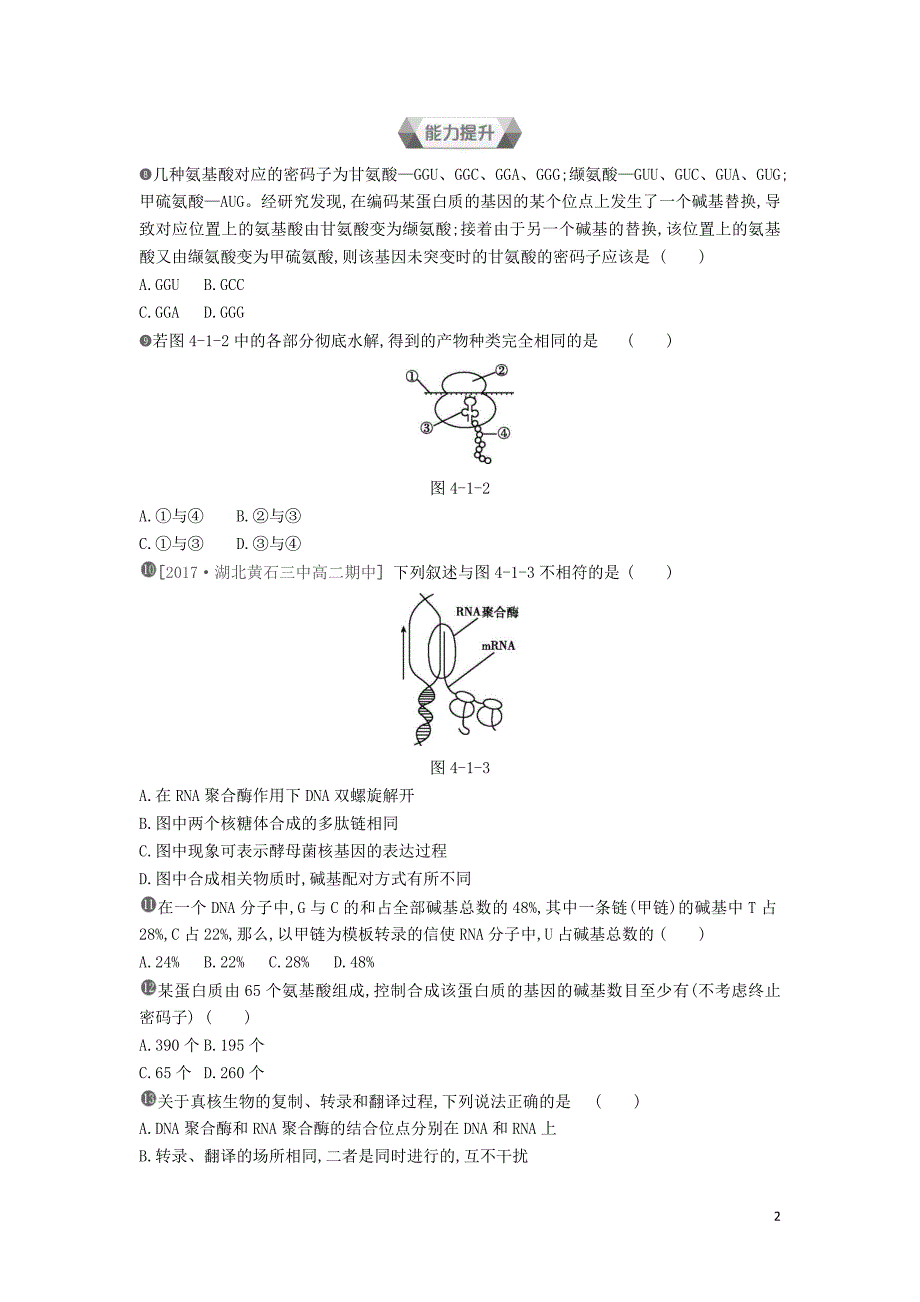 高中生物第4章第1节基因指导蛋白质的合成作业本必修21.doc_第2页