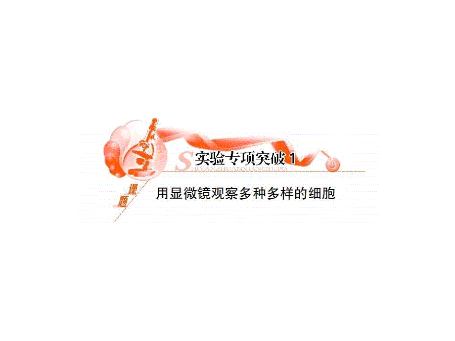 2013届高三生物实验专项突破复习课件1（四月）_第1页