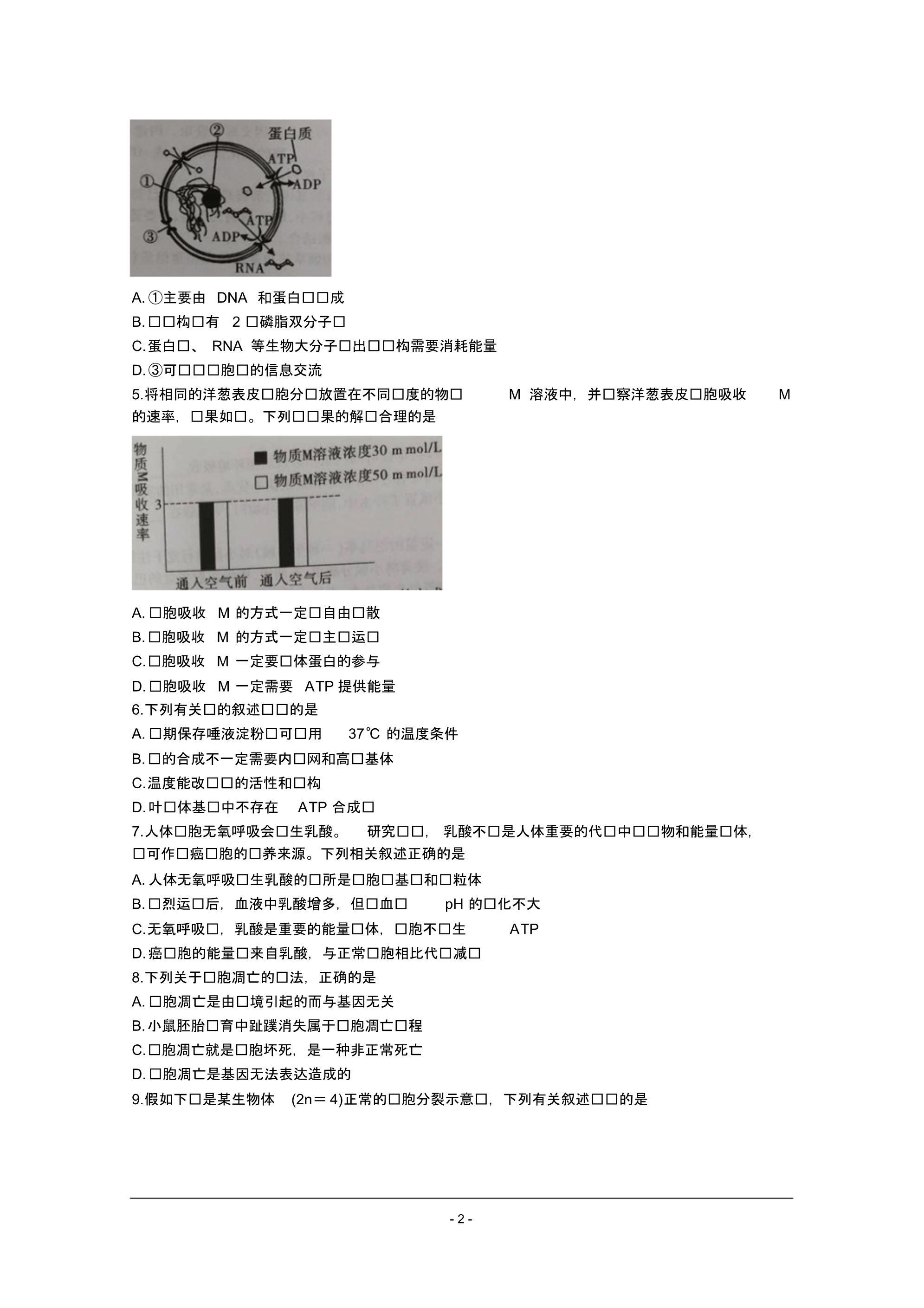 2020届陕西省富平县高三第一次摸底考试生物.pdf_第2页