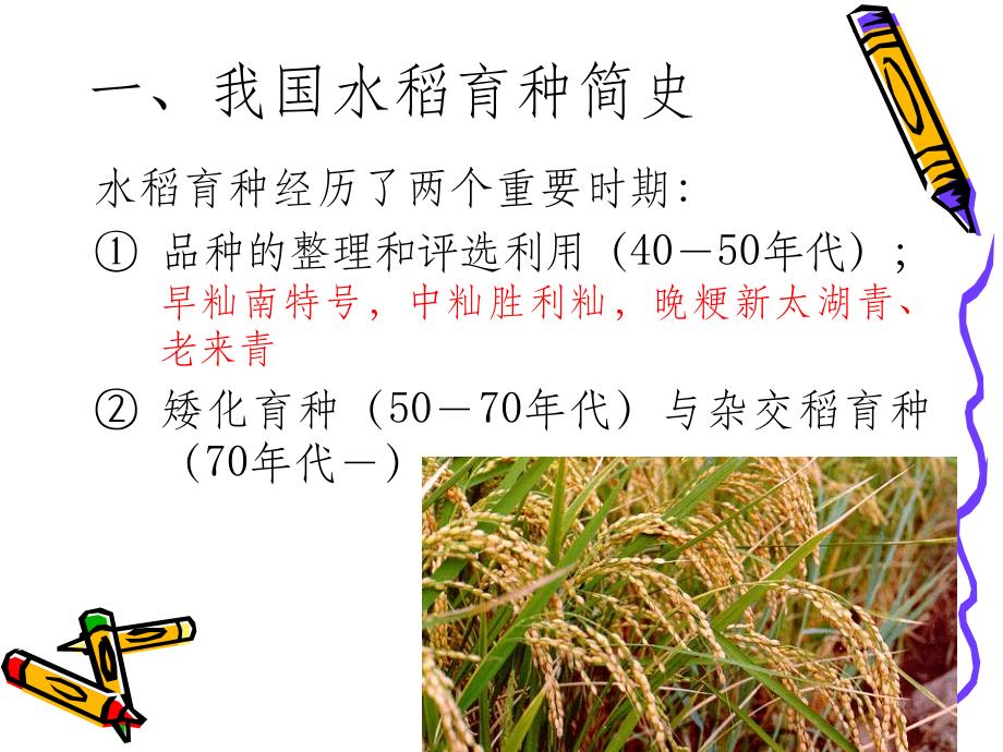 第二讲 水稻遗传育种ppt课件_第3页