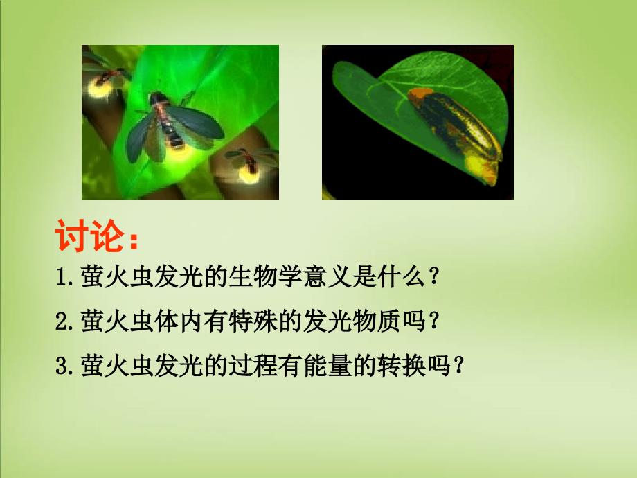 天津梅江中学高中生物第五章第二节细胞的能量通货ATP必修1.ppt_第3页