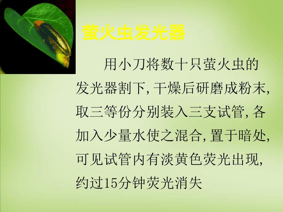 天津梅江中学高中生物第五章第二节细胞的能量通货ATP必修1.ppt_第4页