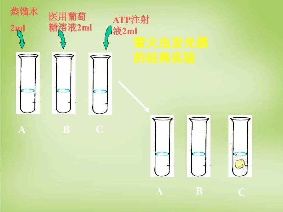 天津梅江中学高中生物第五章第二节细胞的能量通货ATP必修1.ppt_第5页