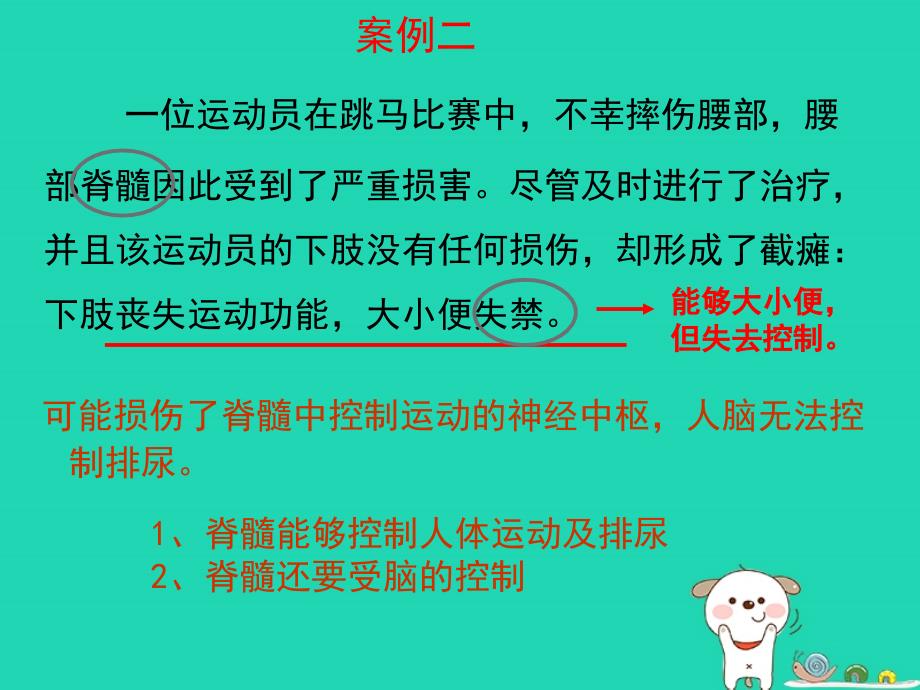 七年级生物下册4.6.2《神经系统的组成》复习课件（新版）新人教版_第4页