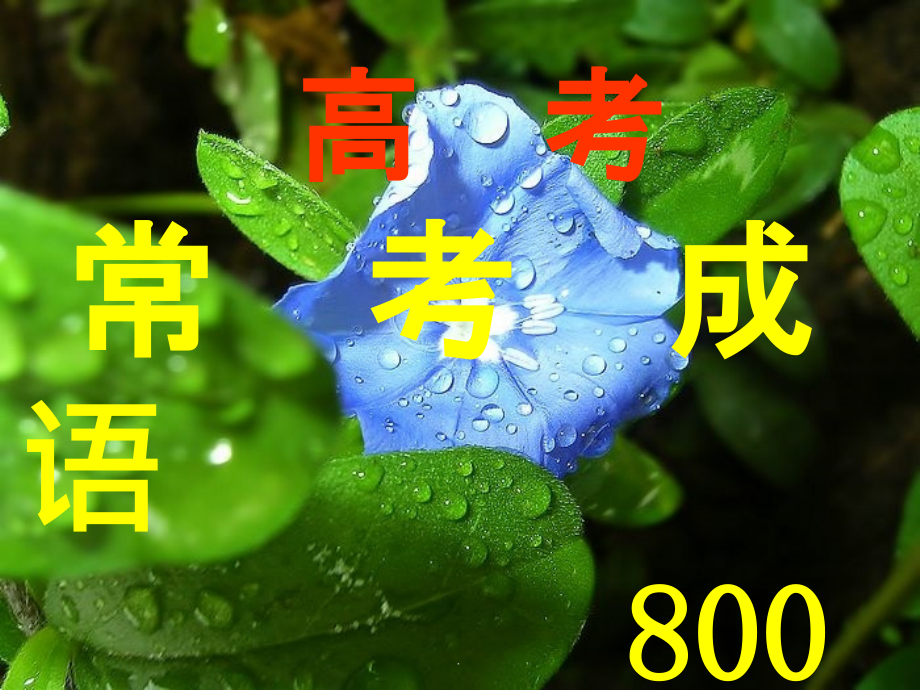 高考常考成语800个ppt课件_第1页