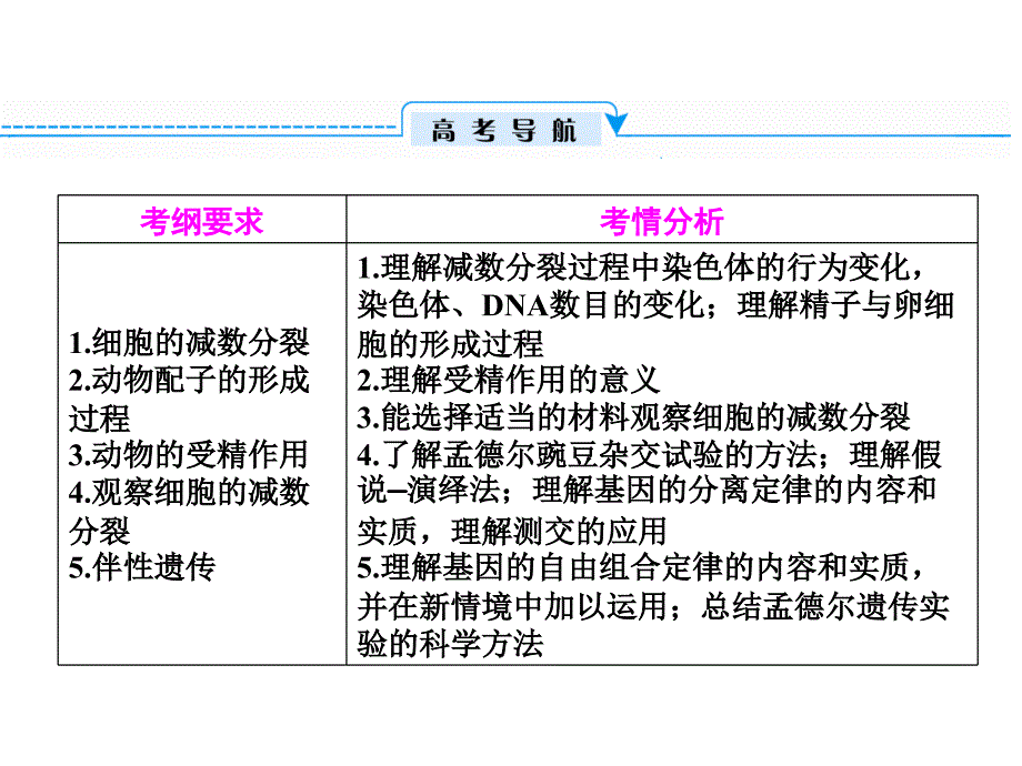 2013高考专题复习2-2-1 减数分裂和受精作用（四月）_第2页