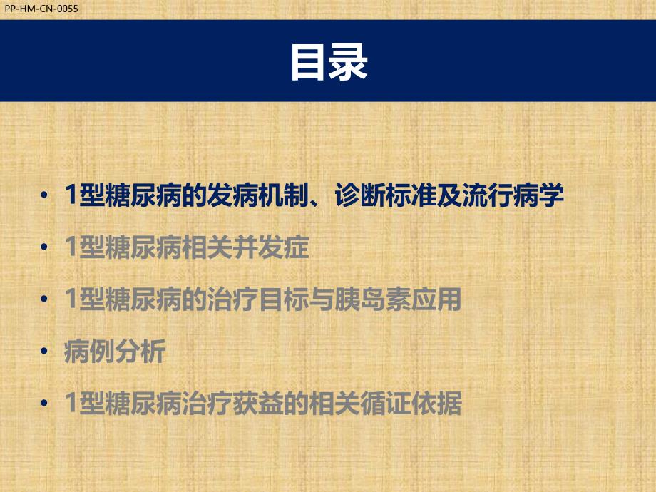 1型糖尿病的胰岛素应用精编PPT课件_第3页