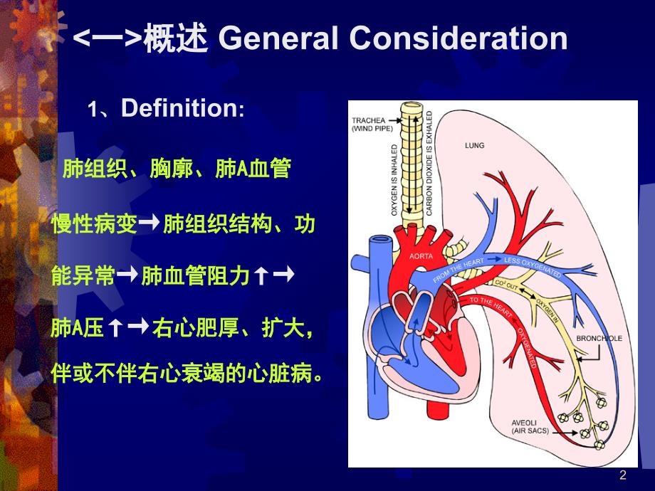 肺心病PPT参考幻灯片_第2页