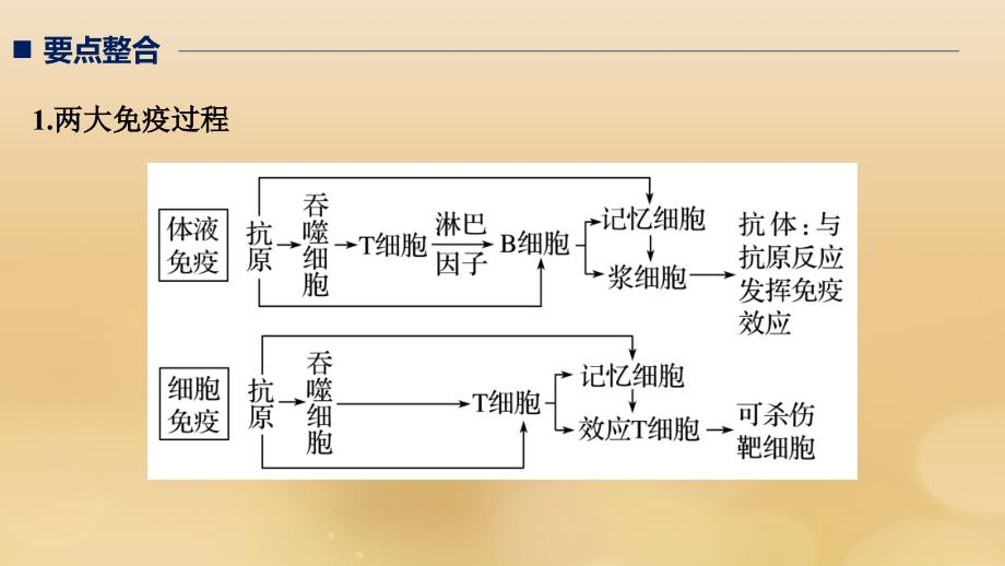 全国通用版高考生物二轮复习专题五生命活动调节考点4免疫调节课件_第2页