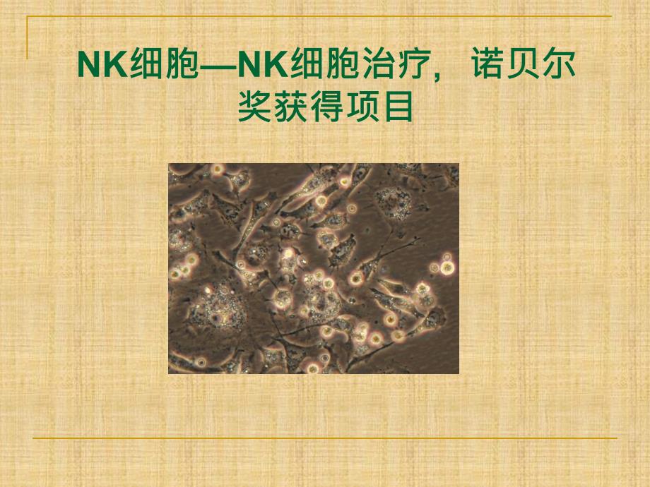 NK细胞疗法精编PPT课件_第1页