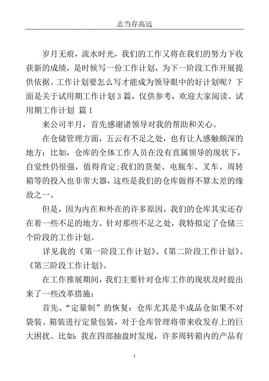 有关试用期工作计划三篇.doc_第2页