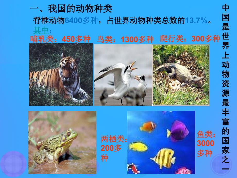 八年级生物上册17.2《我国的动物资源及其保护》课件2（新版）北师大版_第3页