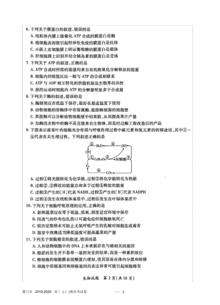 厦门市2019-2020(上)高三生物期末考(试卷与答案)..pdf_第2页