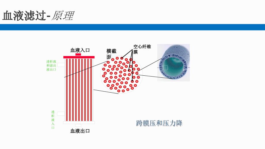 血液净化技术精编PPT课件_第3页