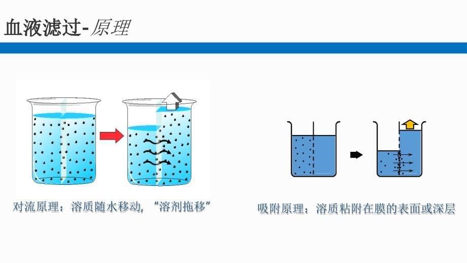 血液净化技术精编PPT课件_第5页