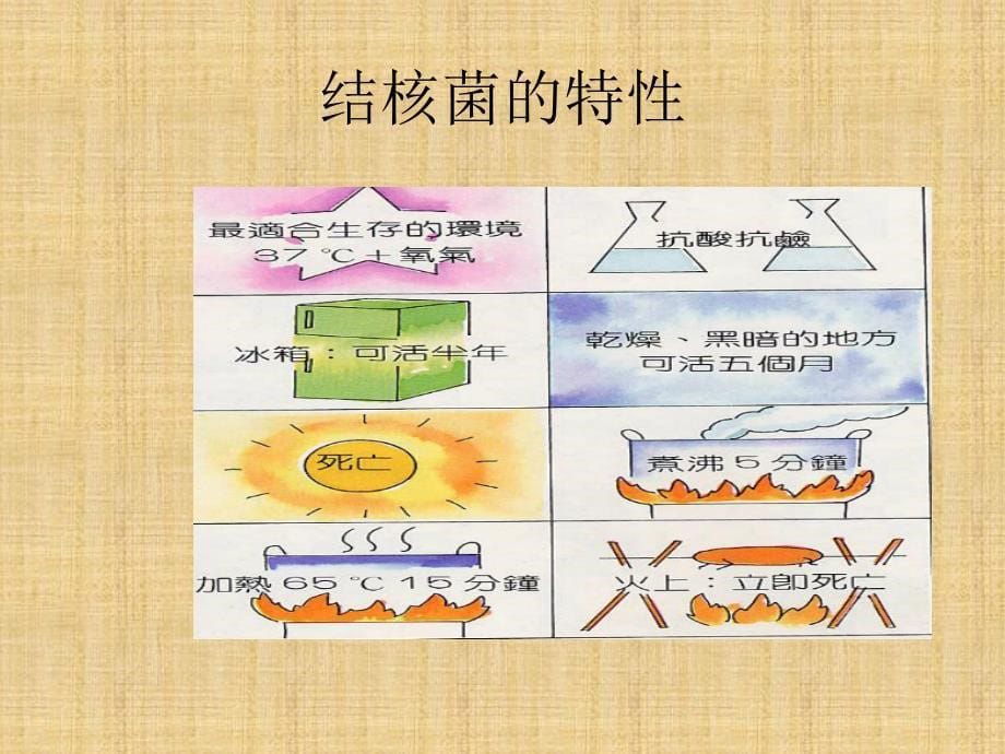 中小学生肺结核防治知识宣传讲座精编PPT课件_第5页