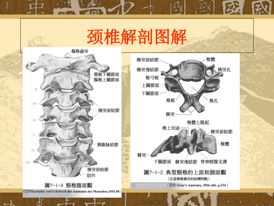 针刀治疗颈椎病教学文案_第4页