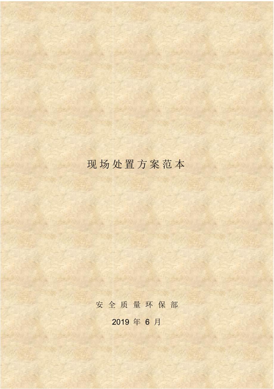 现场处置方案范本(汇总表格).pdf_第1页