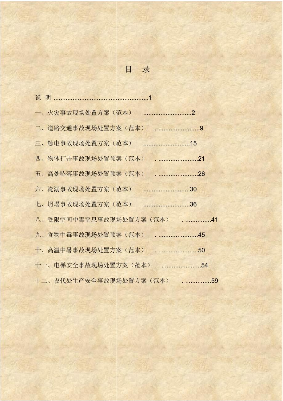 现场处置方案范本(汇总表格).pdf_第2页