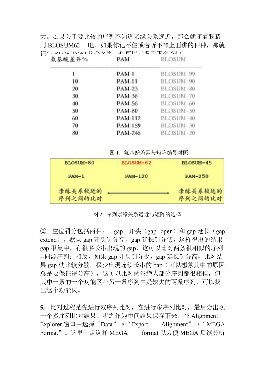 MEGA构建系统进化树的步骤(以MEGA7为例)_第3页