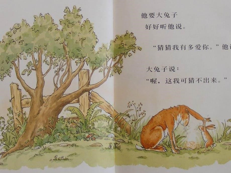 中班语言猜猜我有多爱你课件讲解学习_第5页