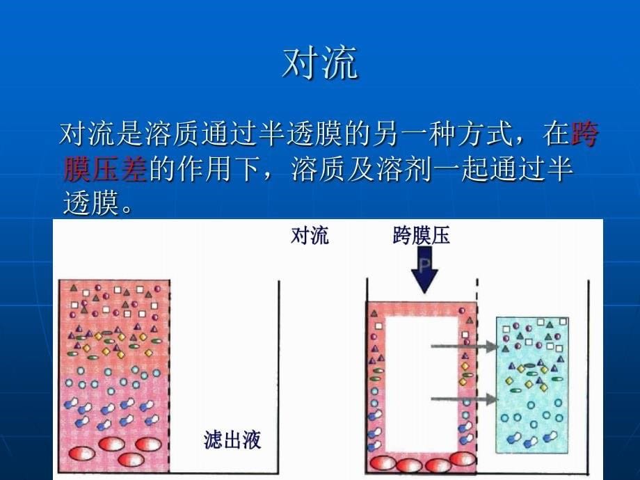 血液透析常见类型及选择知识讲稿_第5页