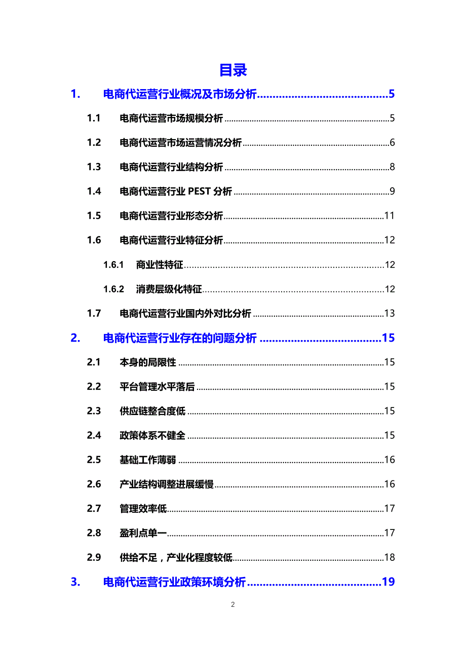 2020电商代运营行业可行性研究报告_第2页