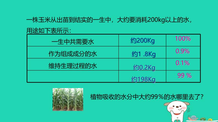 八年级生物上册6.18.1绿色植物与生物圈的水循环课件新版苏科版2_第4页