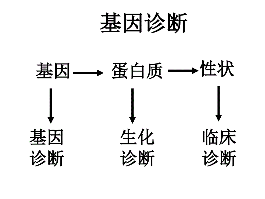 生物：1（四月）.2《基因诊断与基因治疗》课件（1）（新人教版选修2）_第3页