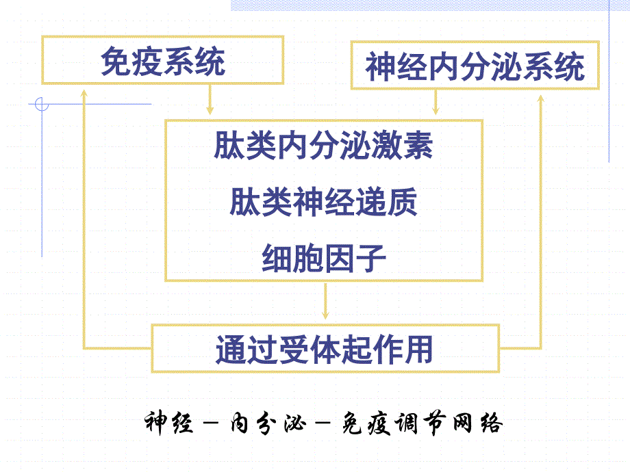 【复旦大学-临床免疫学学习】_生殖免疫学概论_第3页