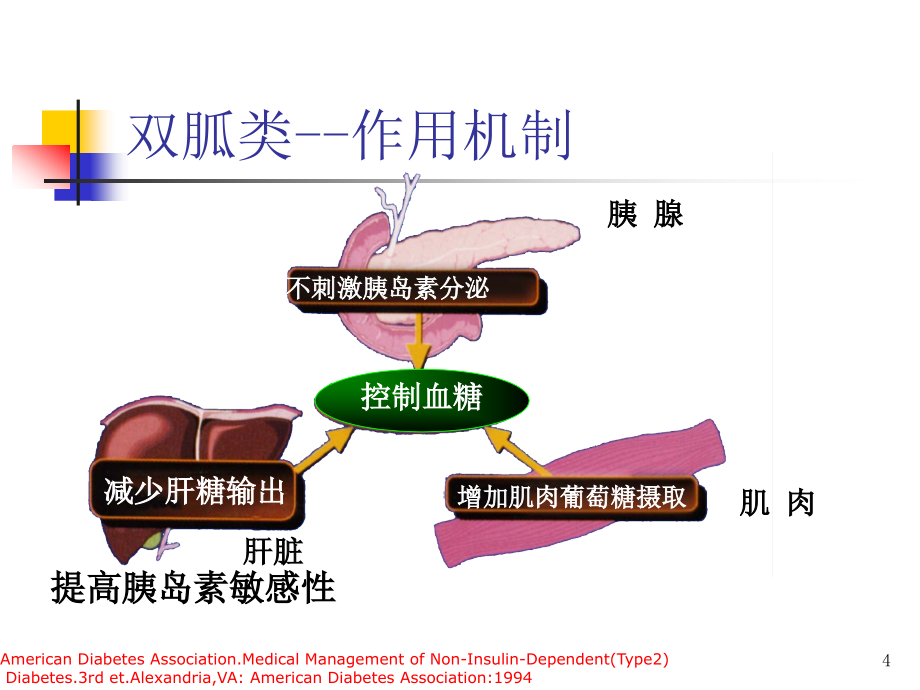 口服降糖药物机制及作用PPT参考幻灯片_第4页