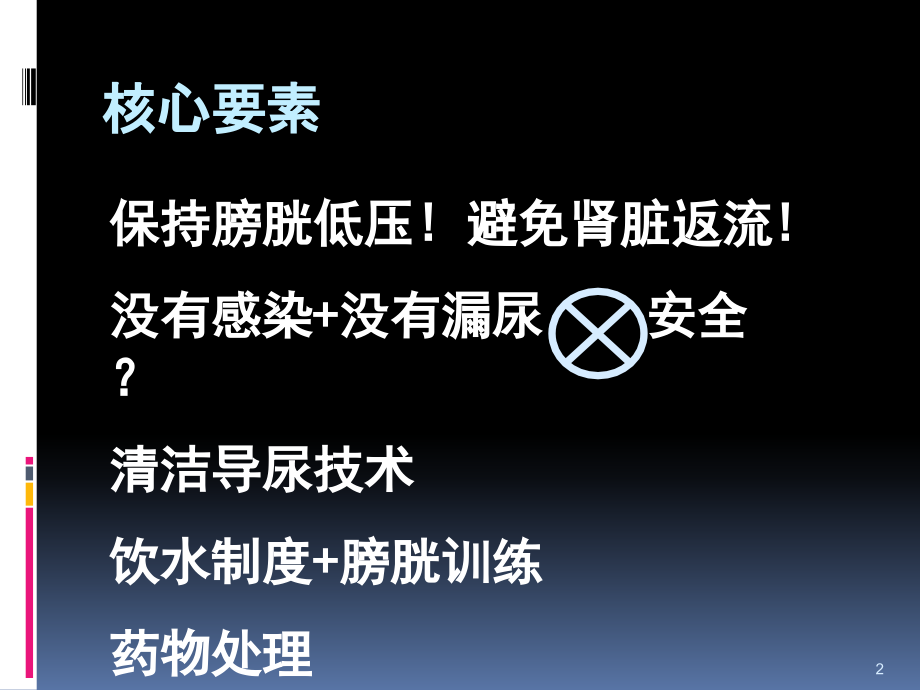 神经源性膀胱康复的进展PPT参考幻灯片_第2页