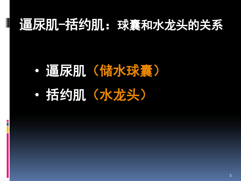 神经源性膀胱康复的进展PPT参考幻灯片_第3页