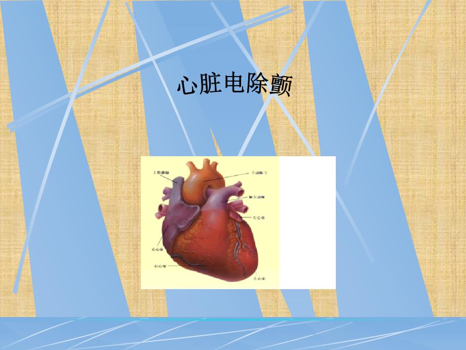 电除颤术精编PPT课件_第1页