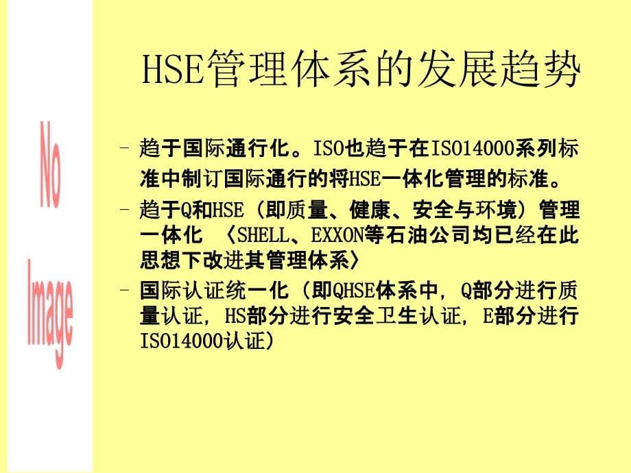 壳牌公司HSE管理体系_第5页