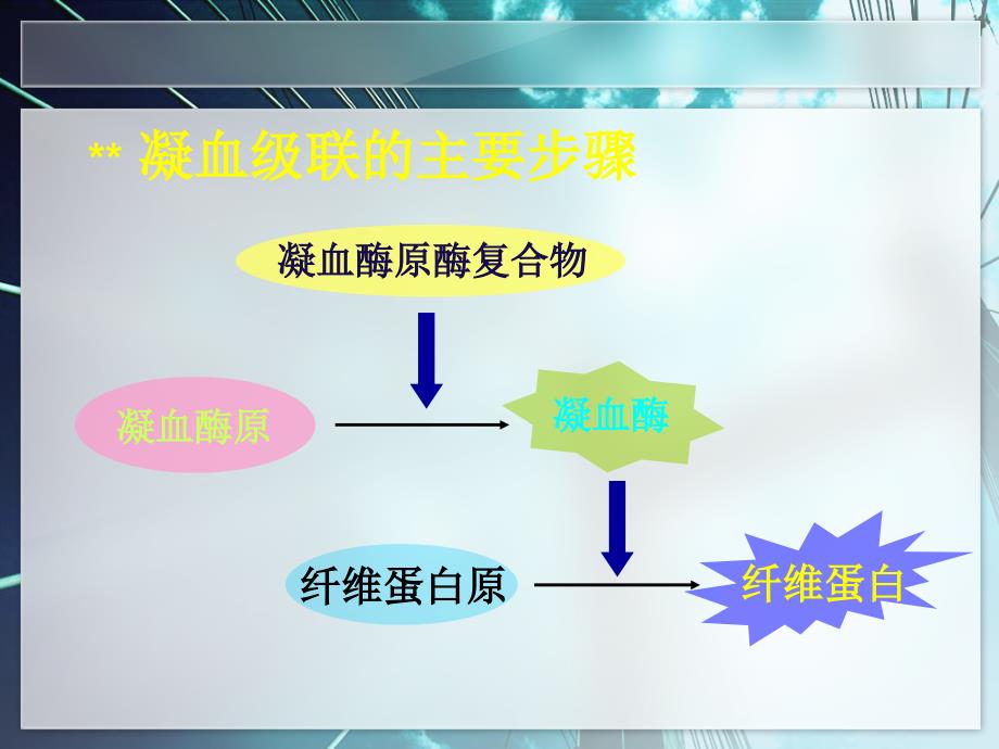 抗凝药的基础及应用精编PPT课件_第4页