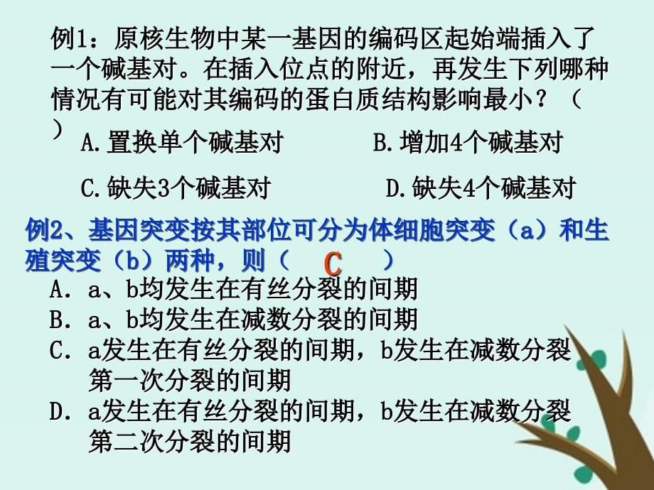 内蒙古乌兰察布市高考生物总复习专题变异、育种、进化课件_第5页