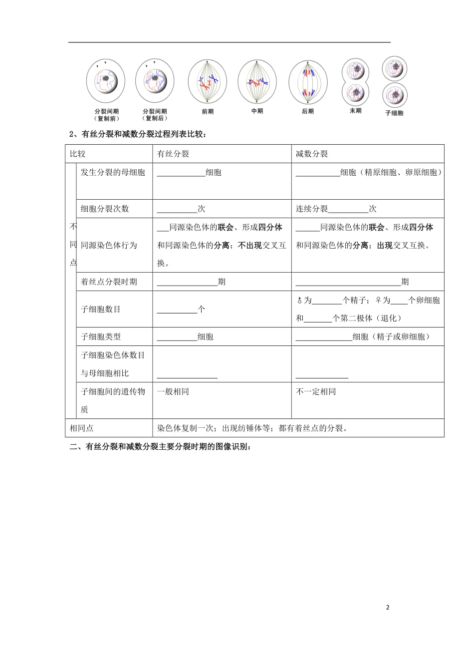 广东署山市高中生物第2章基因和染色体的关系第1节减数分裂3导学案新人教版必修2_第2页