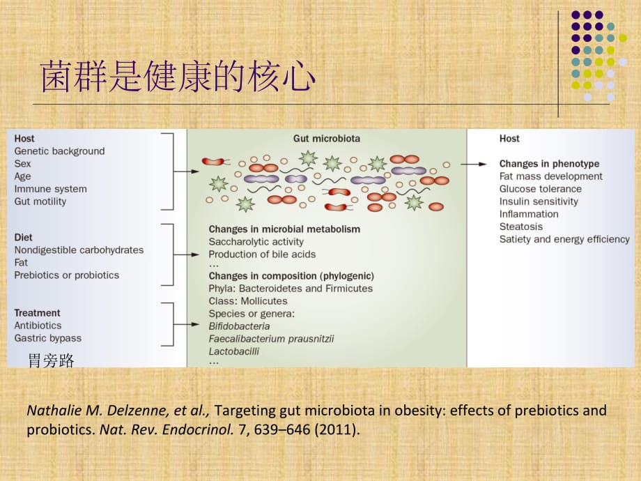 肠道菌群与人体代谢疾病精编PPT课件_第3页