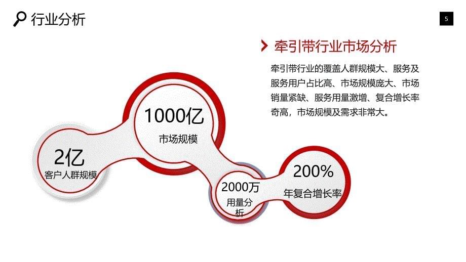 2020牵引带行业可行性研究报告_第5页