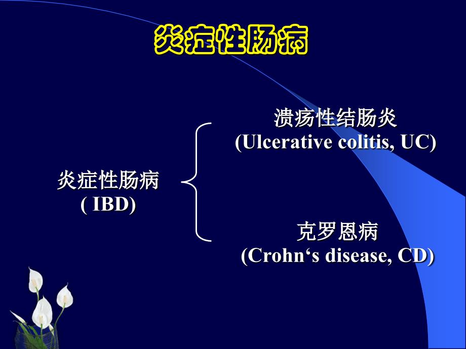 消化内科知识学习_炎症性肠病(7)_第2页